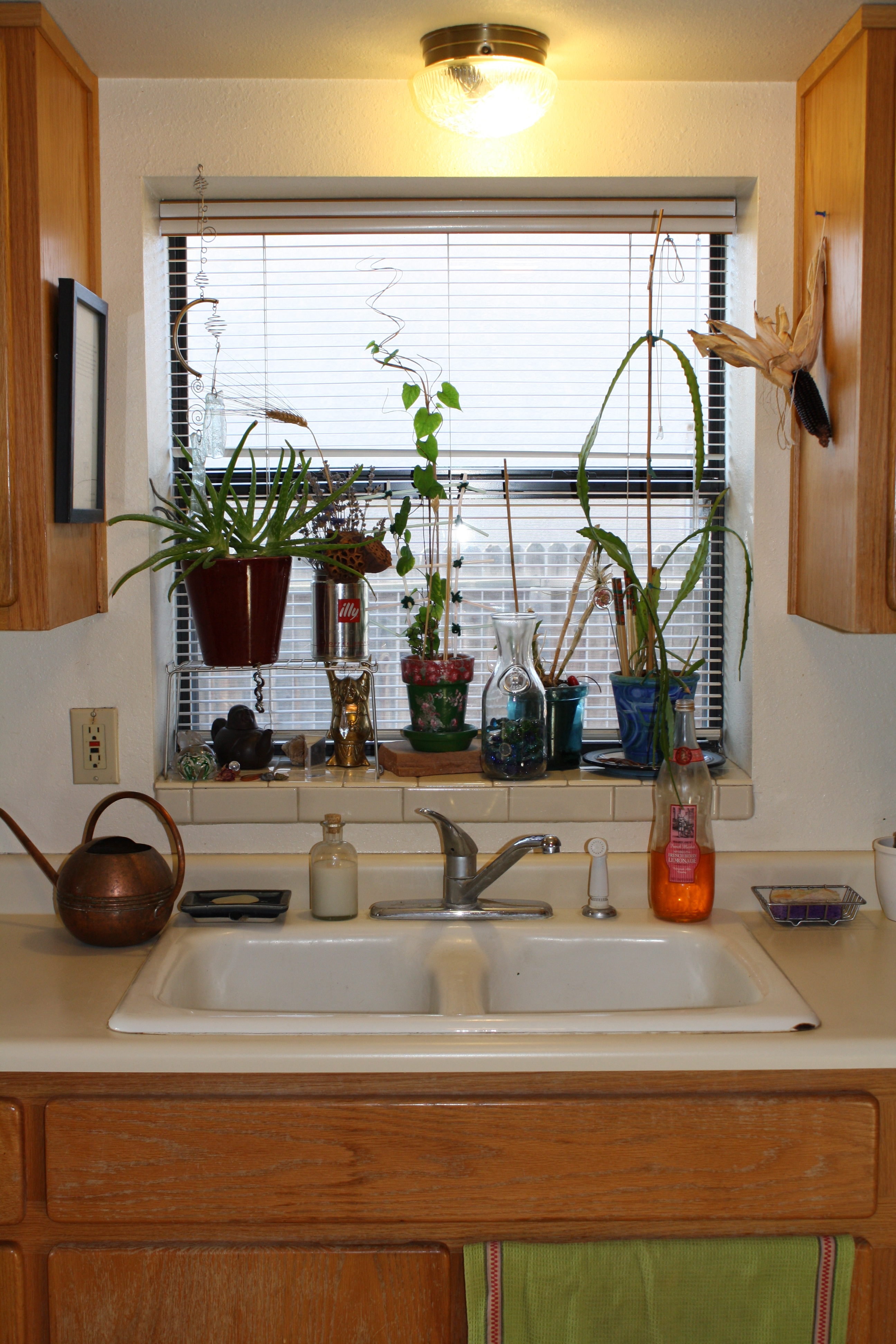 [Monday \u2013 Liza\u2019s Plants] Ode To a Refurbished Kitchen Windowsill  Good To Grow
